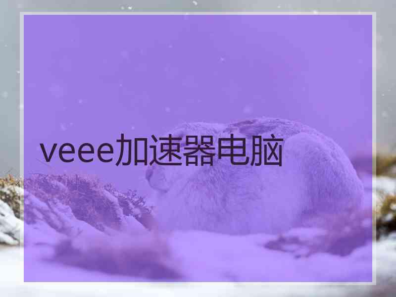 veee加速器电脑