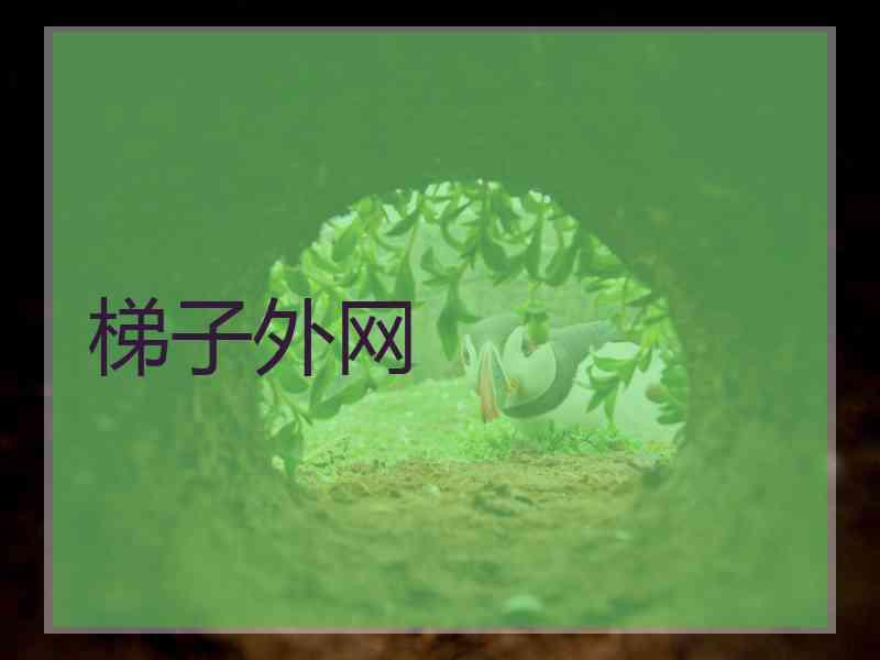 梯子外网