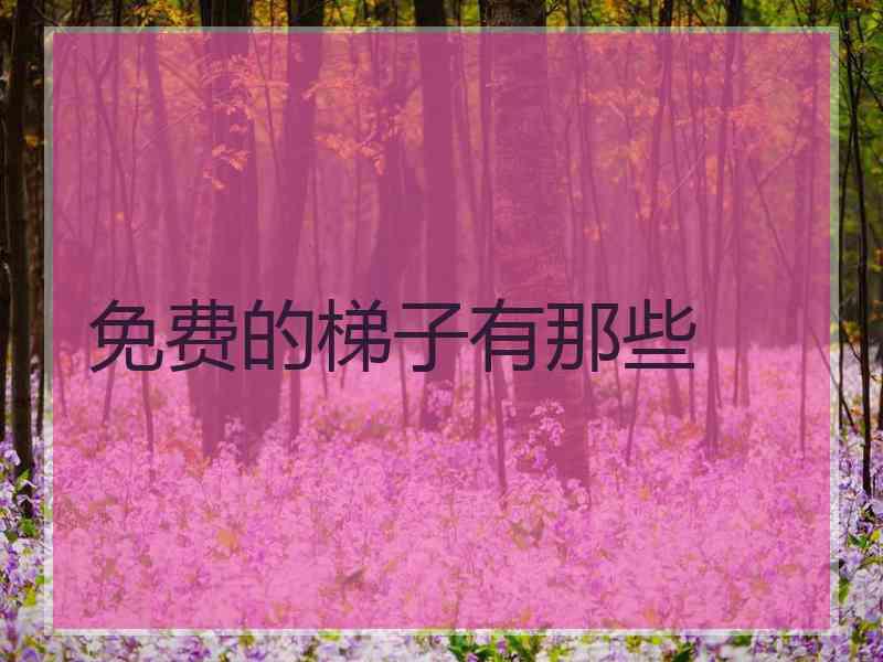 免费的梯子有那些