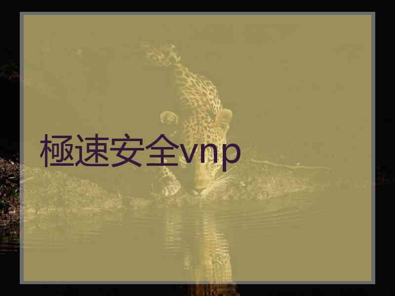 極速安全vnp