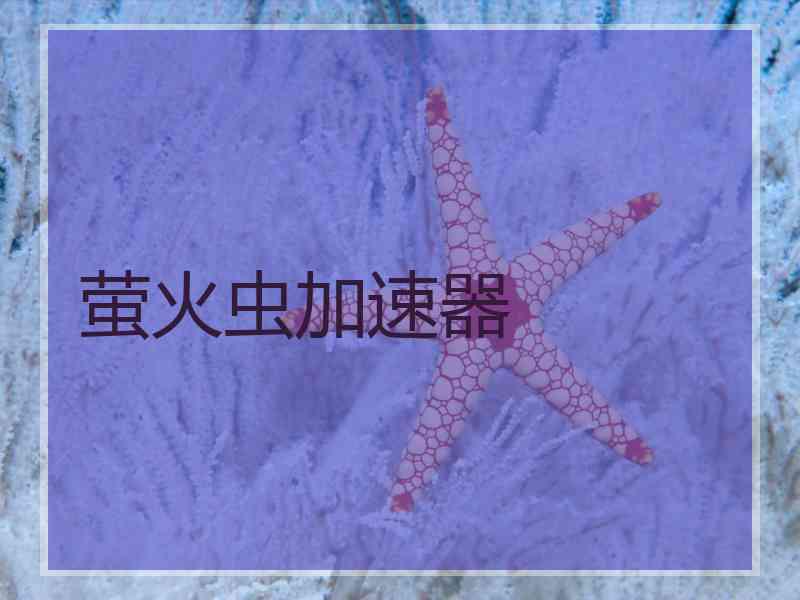 萤火虫加速器