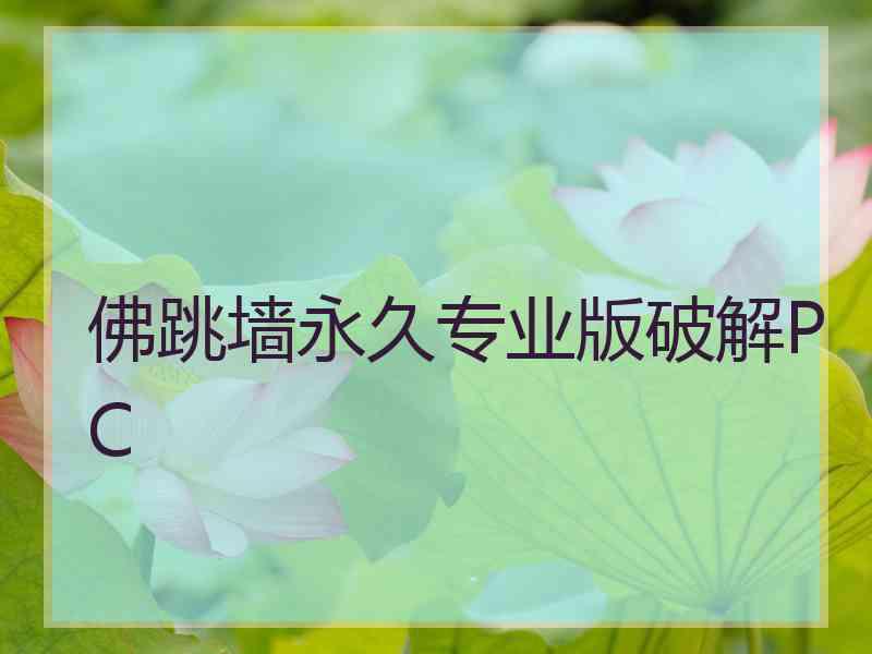 佛跳墙永久专业版破解PC