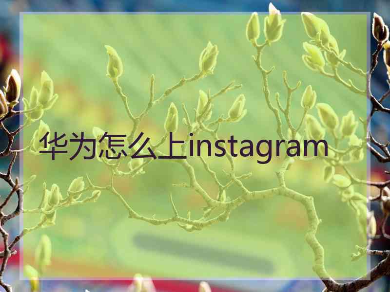 华为怎么上instagram