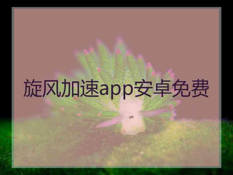 旋风加速app安卓免费