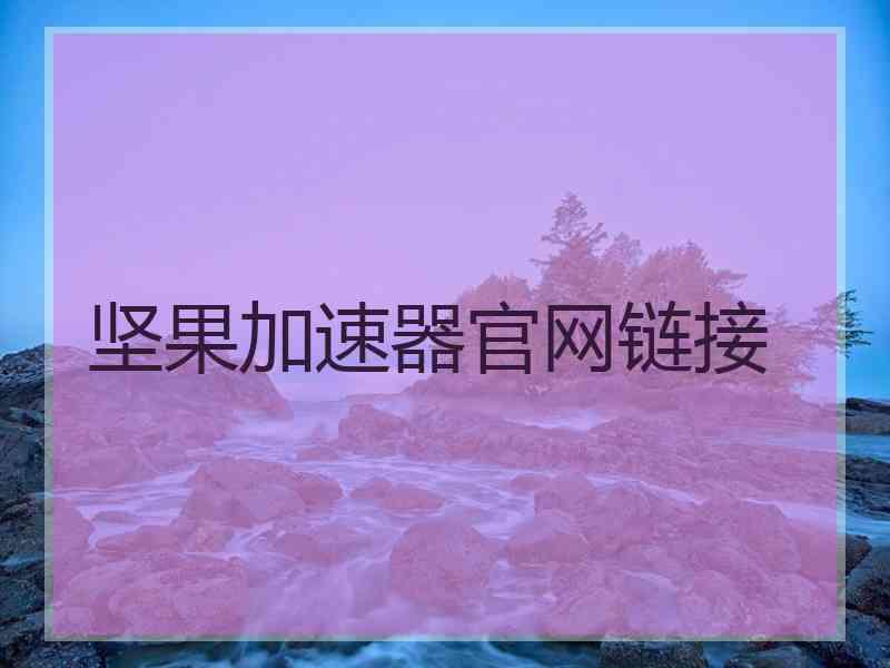 坚果加速器官网链接