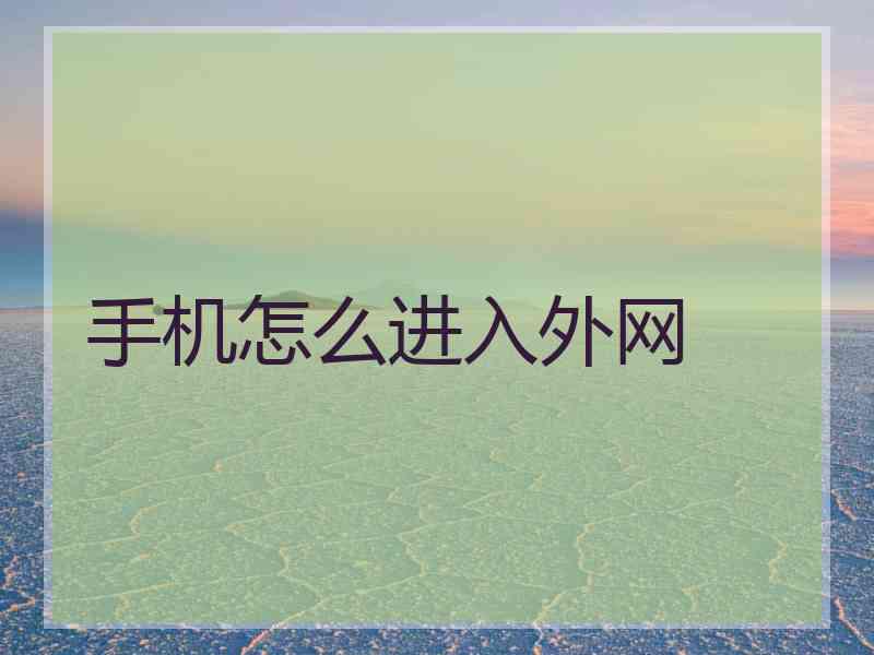 手机怎么进入外网