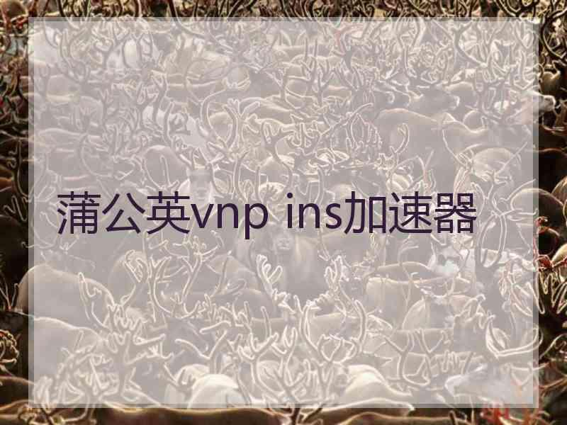 蒲公英vnp ins加速器