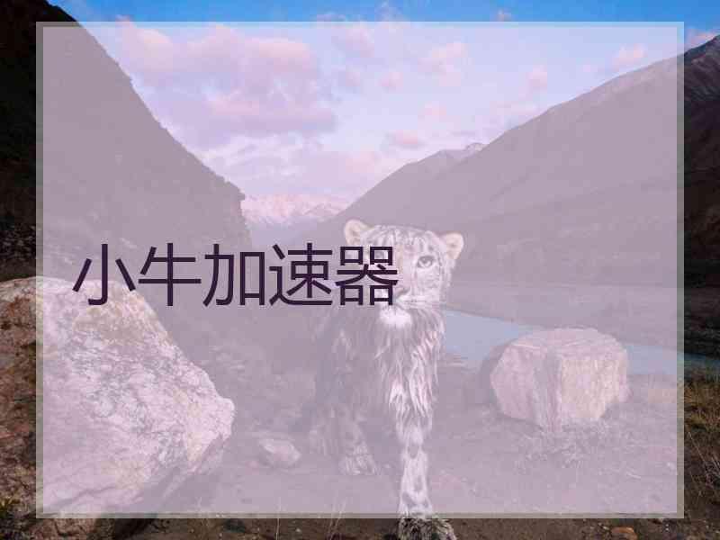 小牛加速器