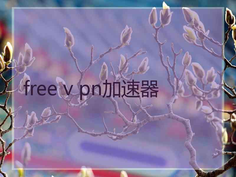free v pn加速器