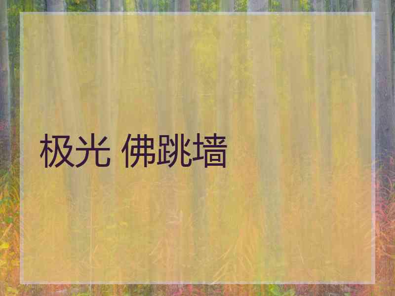 极光 佛跳墙