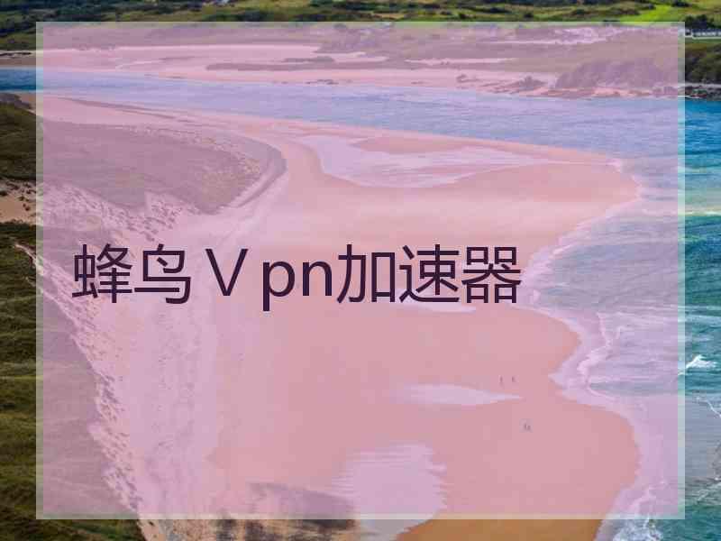 蜂鸟Ⅴpn加速器