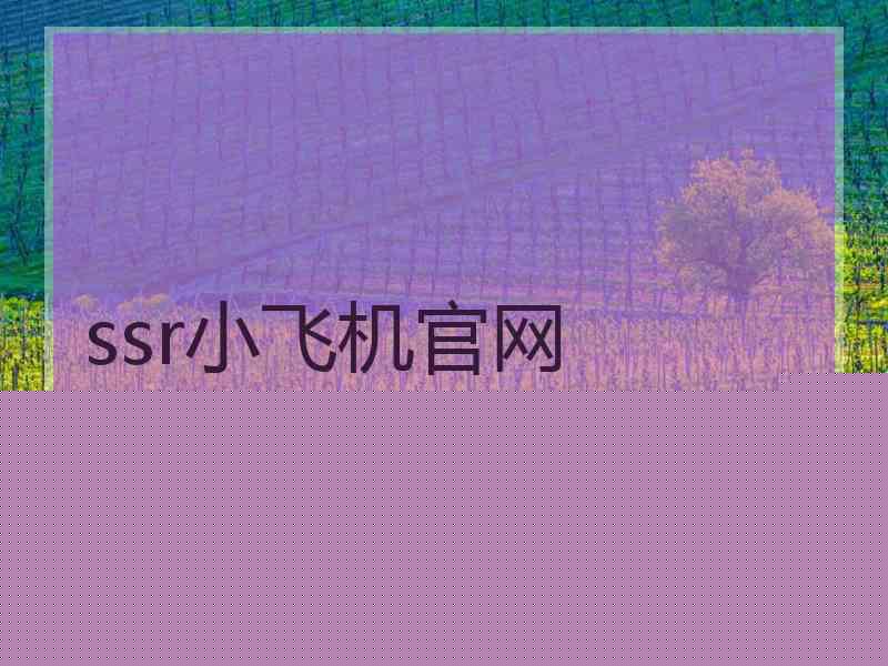 ssr小飞机官网