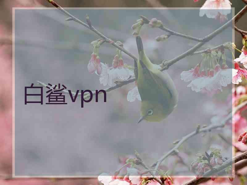 白鲨vpn