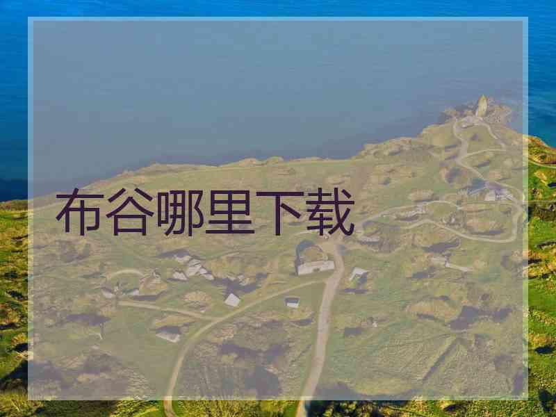 布谷哪里下载