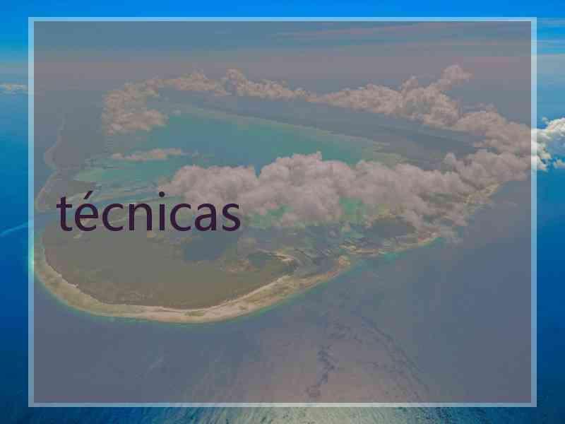 técnicas