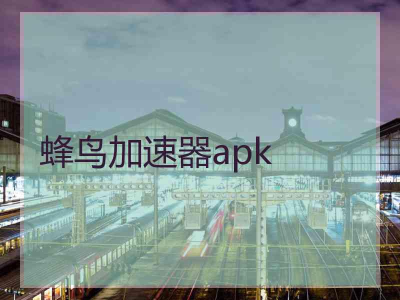 蜂鸟加速器apk
