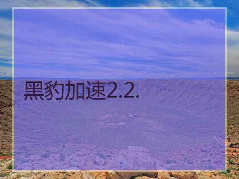 黑豹加速2.2.
