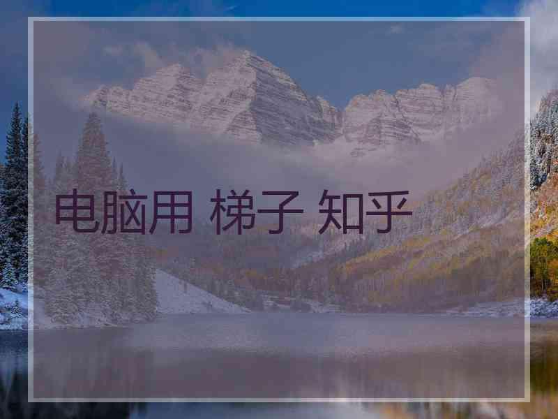 电脑用 梯子 知乎
