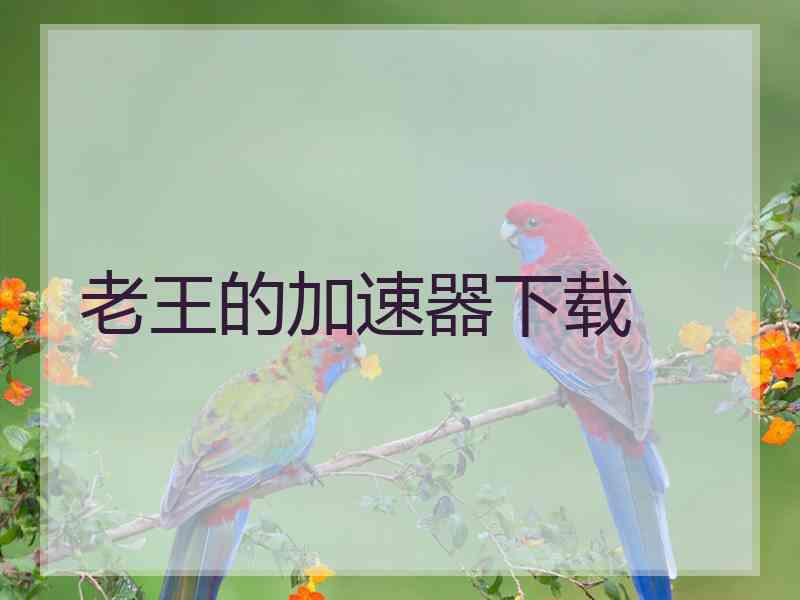 老王的加速器下载