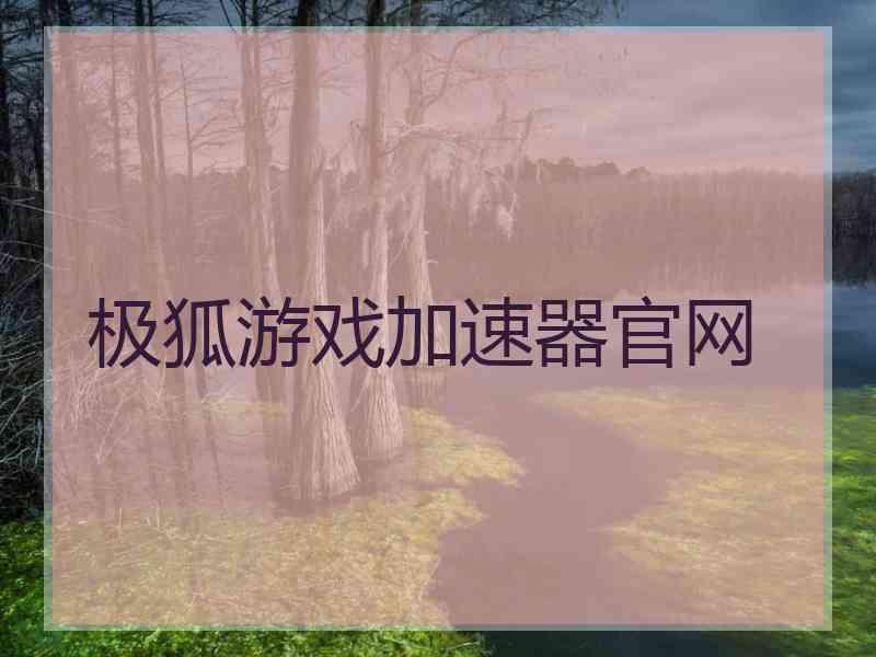 极狐游戏加速器官网