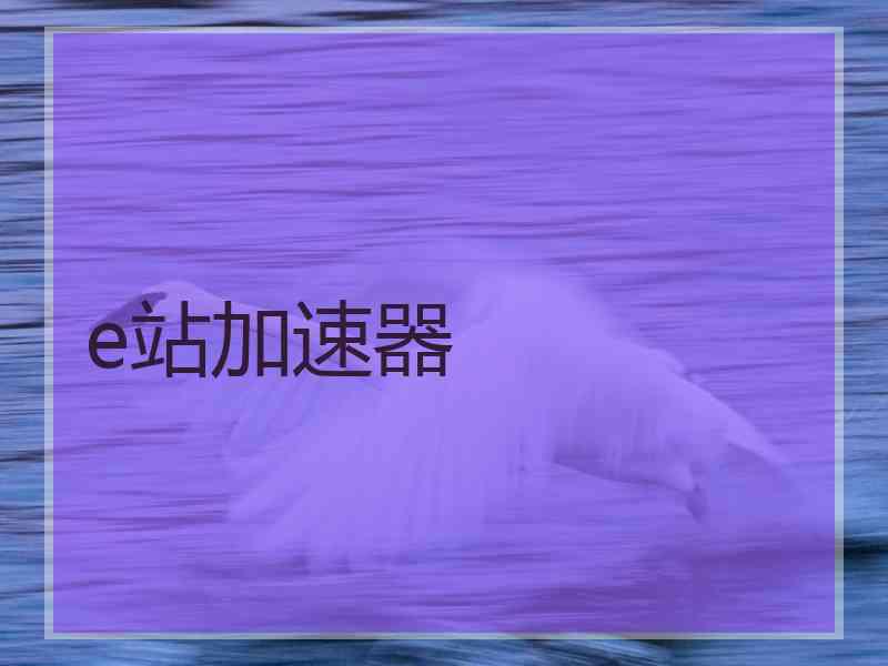 e站加速器