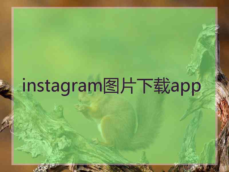 instagram图片下载app