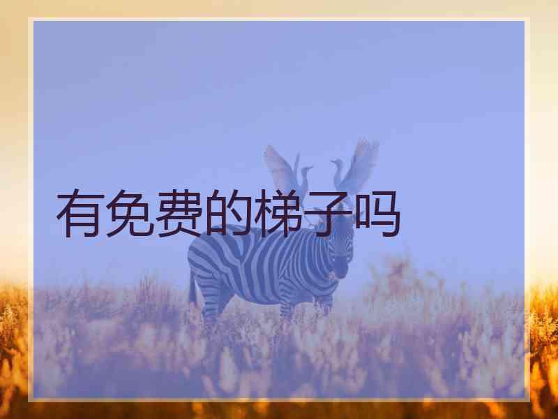 有免费的梯子吗