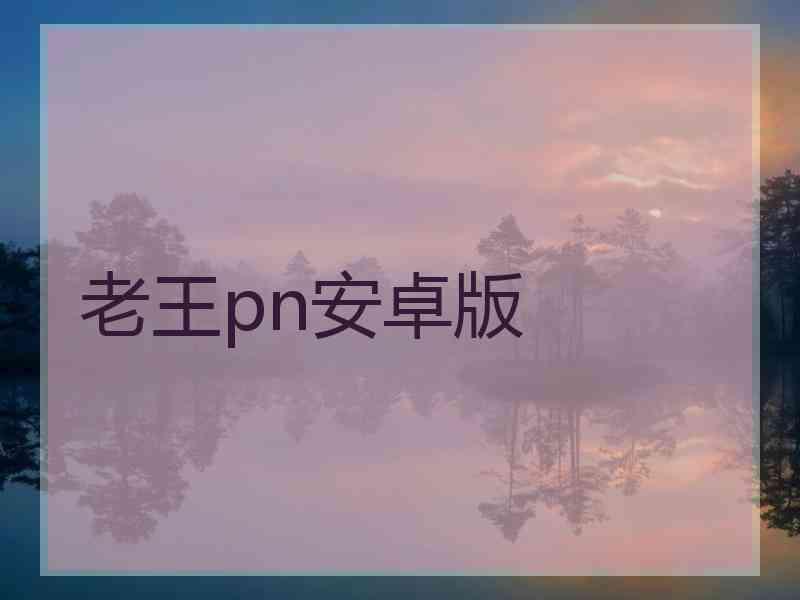 老王pn安卓版