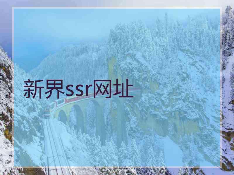 新界ssr网址
