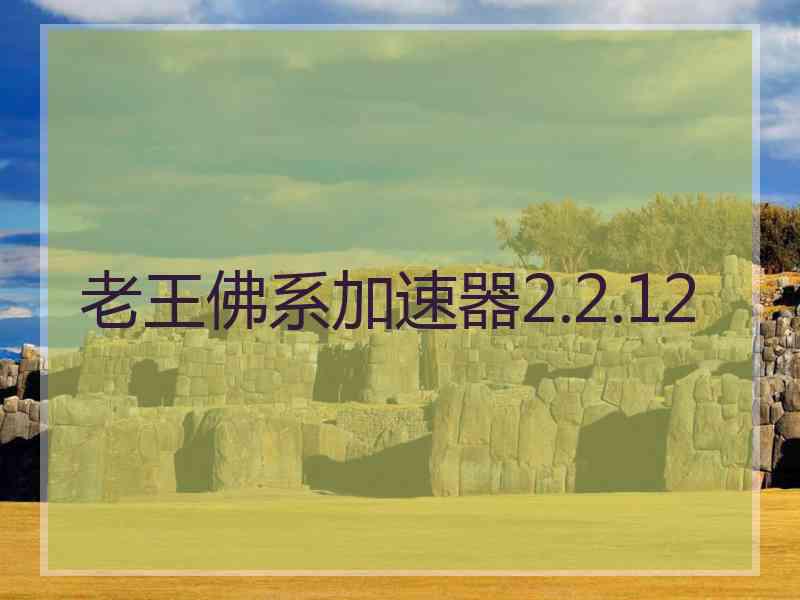 老王佛系加速器2.2.12