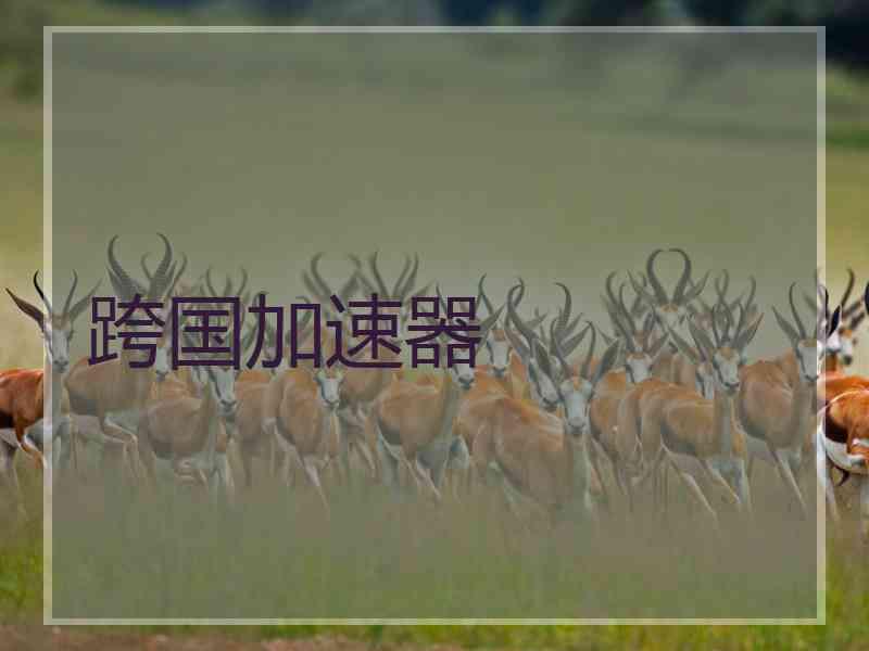 跨国加速器