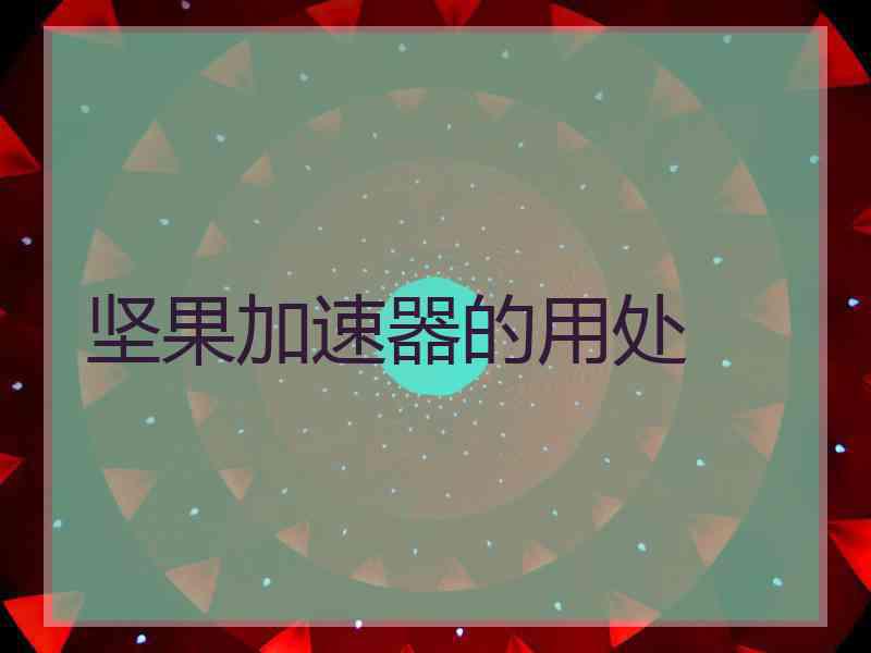 坚果加速器的用处