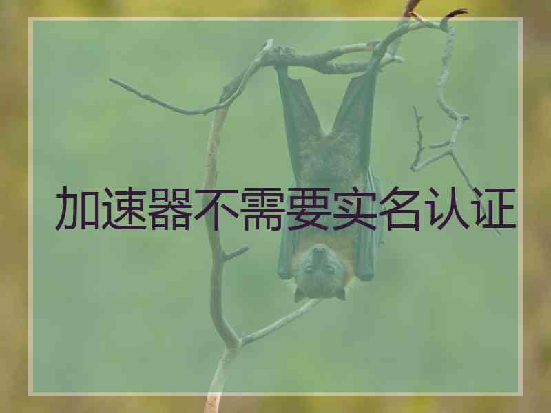加速器不需要实名认证