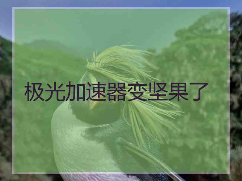 极光加速器变坚果了