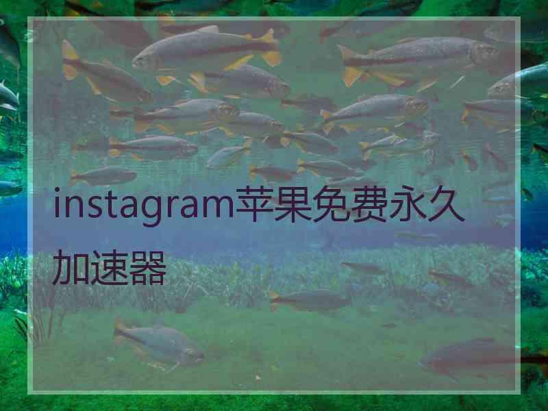 instagram苹果免费永久加速器