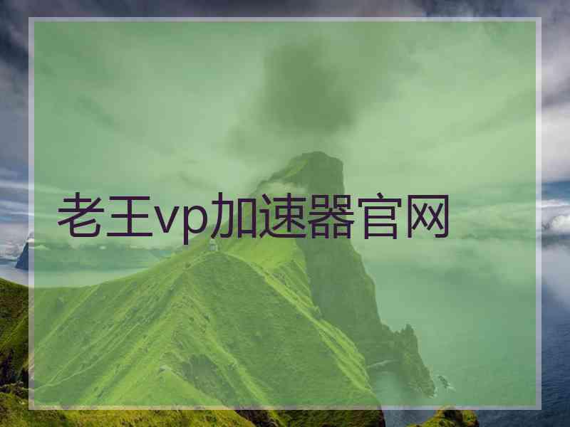 老王vp加速器官网