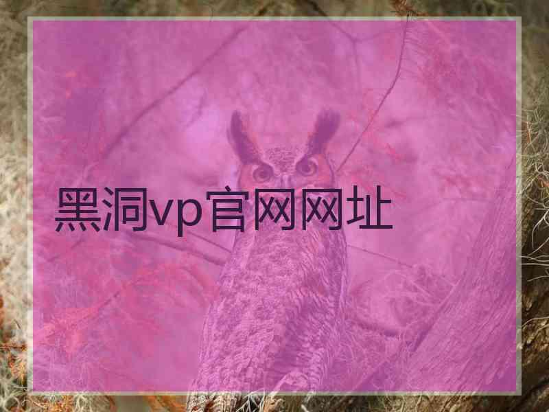 黑洞vp官网网址