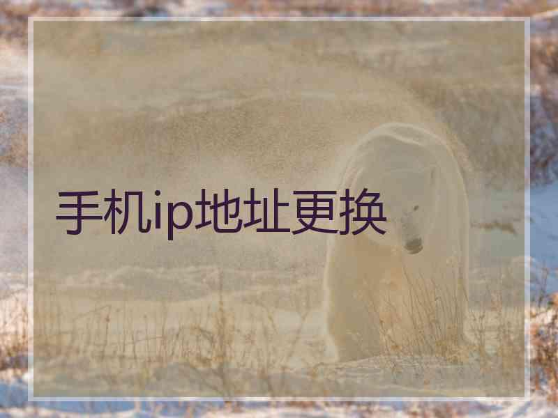 手机ip地址更换
