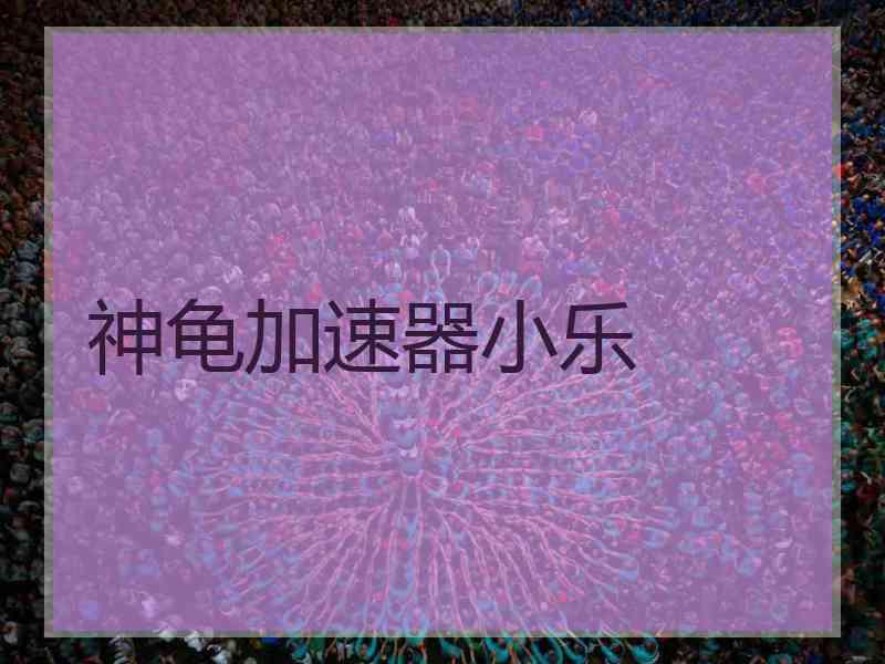 神龟加速器小乐