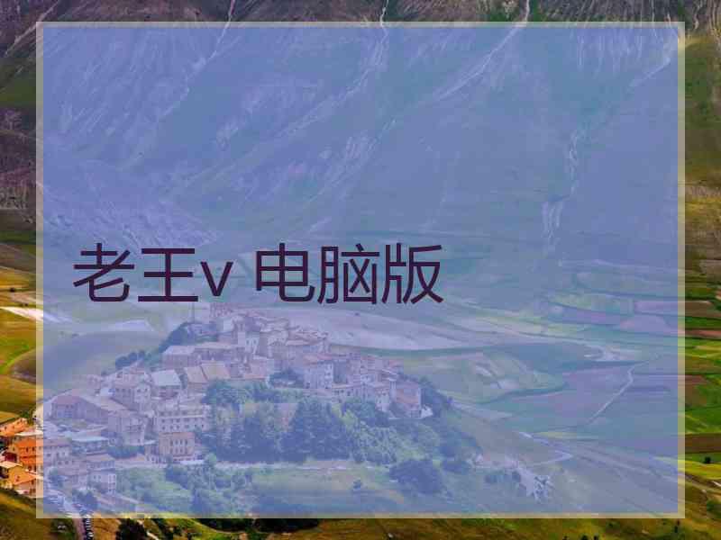 老王v 电脑版