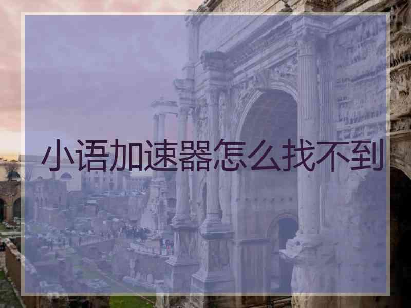 小语加速器怎么找不到
