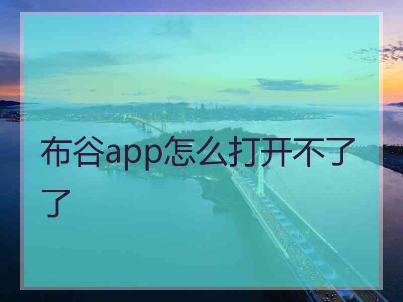 布谷app怎么打开不了了