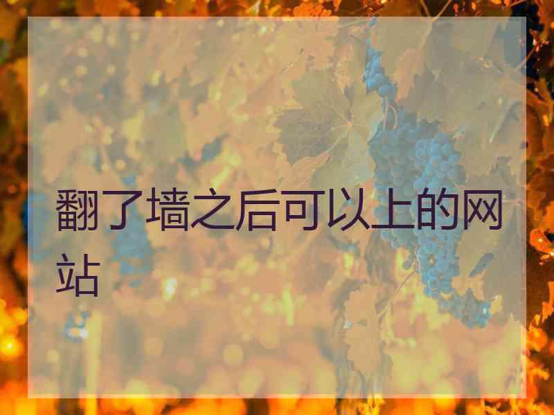 翻了墙之后可以上的网站