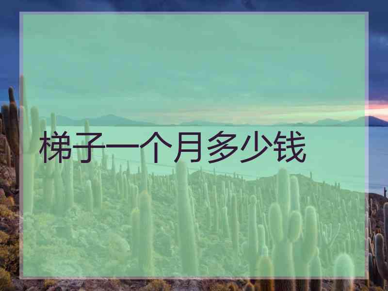 梯子一个月多少钱