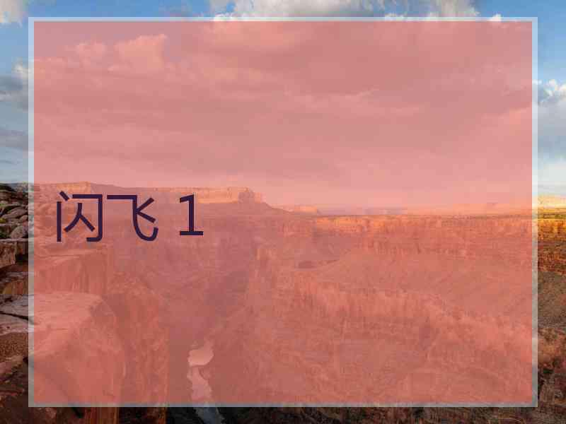 闪飞 1