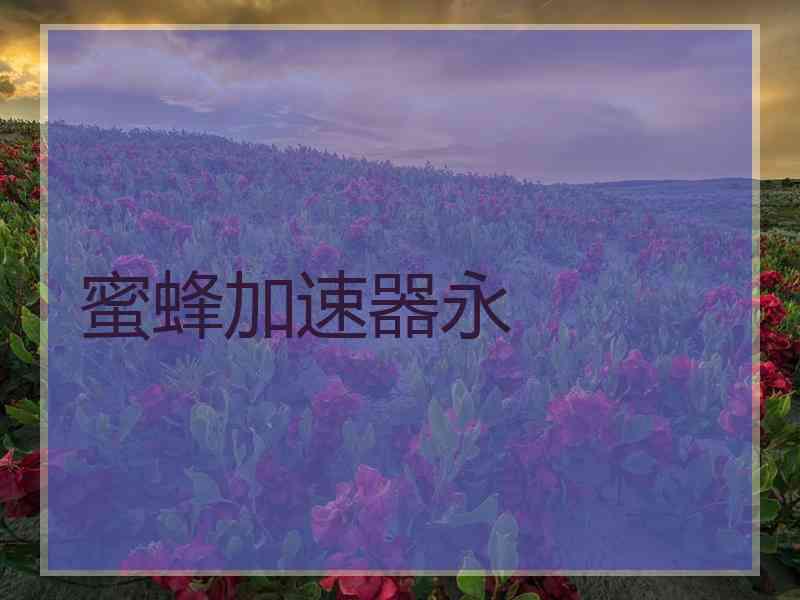 蜜蜂加速器永