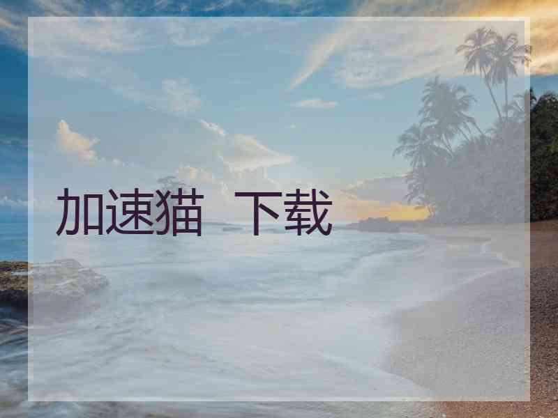 加速猫  下载