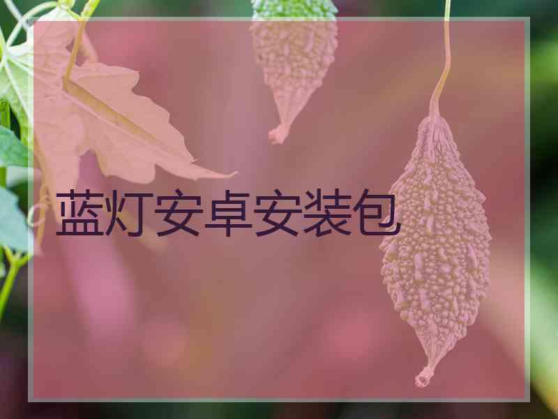 蓝灯安卓安装包