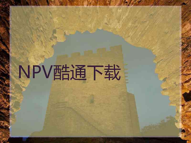 NPV酷通下载