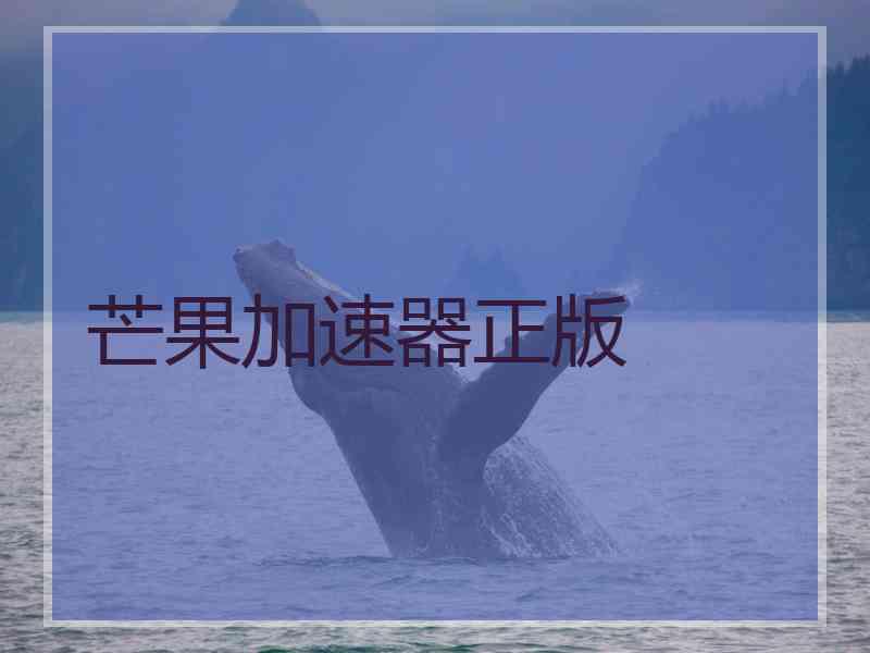 芒果加速器正版